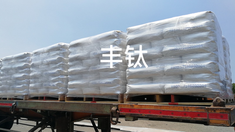 金站網